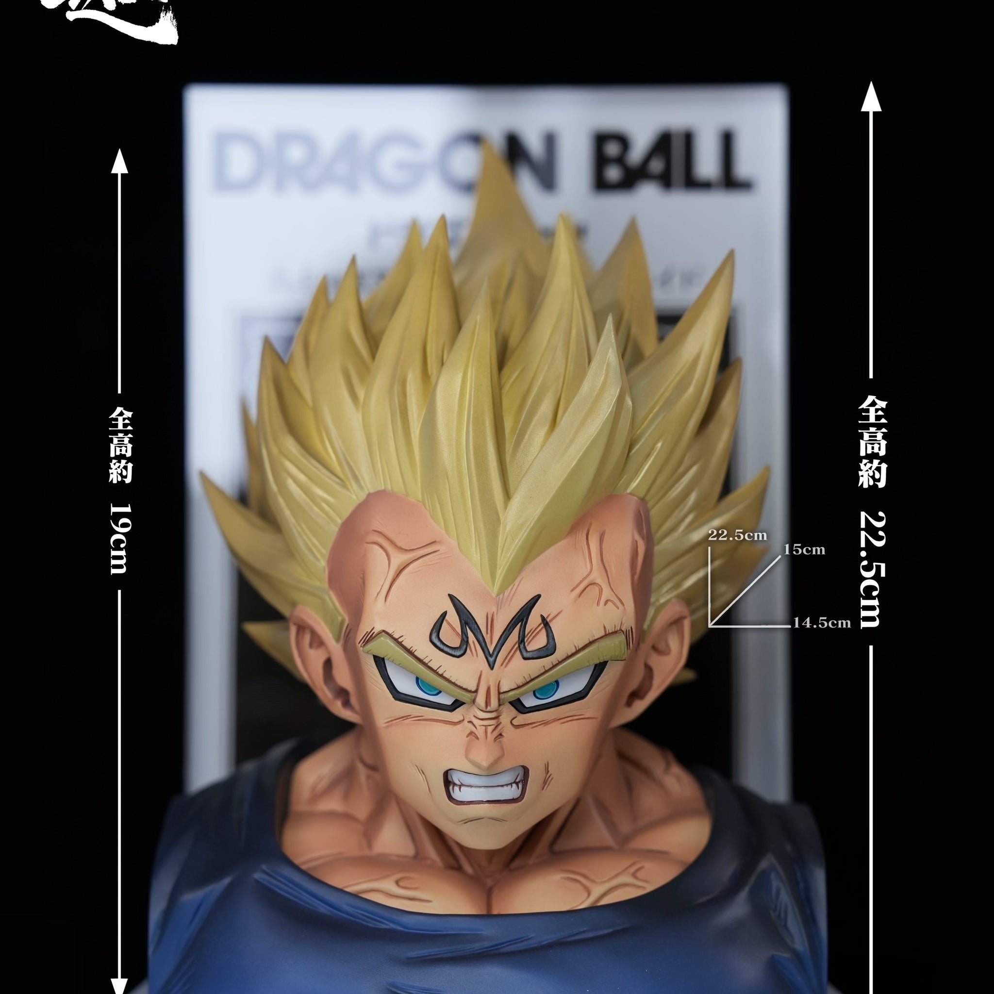 Dragon Ball C3 Studio Majin Vegeta Bust Resin Statue [PRE-ORDER]