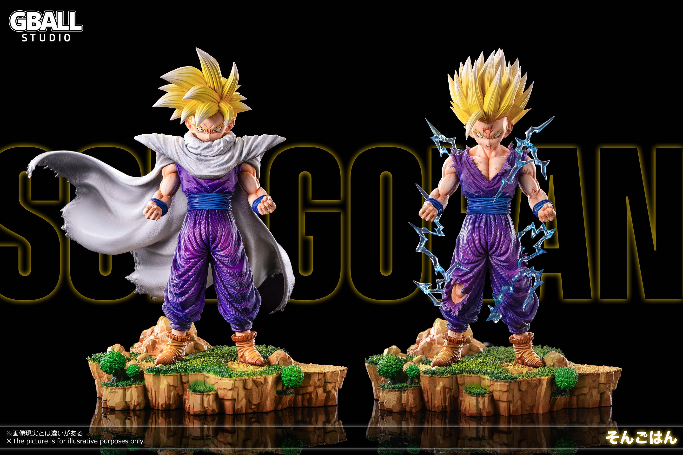 Gohan popular Resin