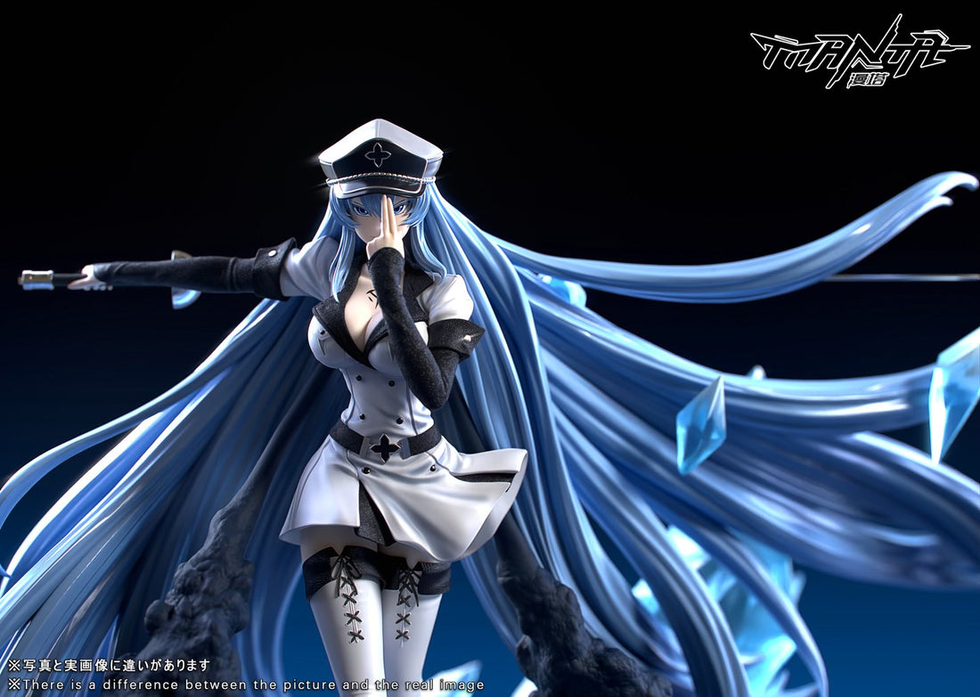 Akame Ga Kill Manta Studio Esdeath Resin Statue